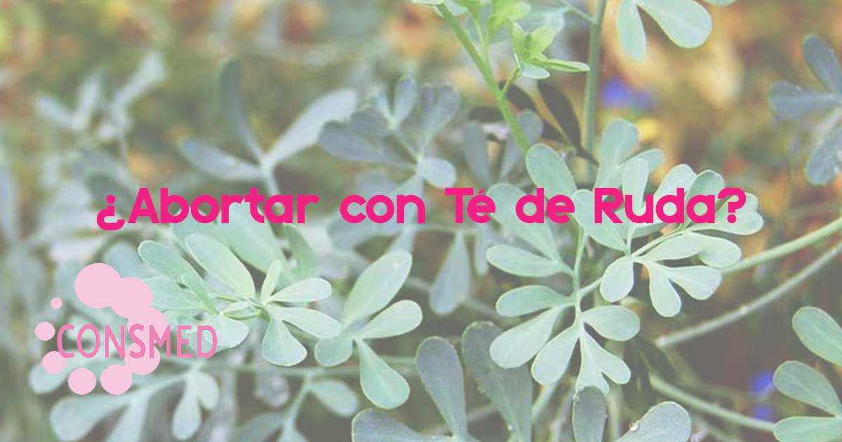 ¿Cómo abortar con té de Ruda? | Información completa